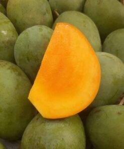 হিমসাগর 7 kg সারাদেশে পয়েন্ট ডেলিভারি